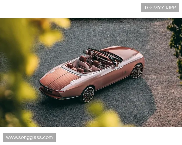 1.69亿的劳斯莱斯浮影很贵？这辆奔驰SLR直接卖9.7亿