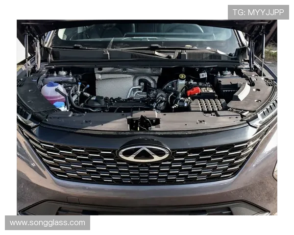 1.5T+9CVT实测：瑞虎5x百公里油耗仅6.8L？