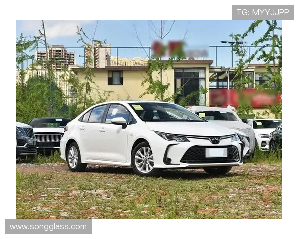 10万提了丰田卡罗拉1.5L低配版，开了3900公里后，车主有话要说