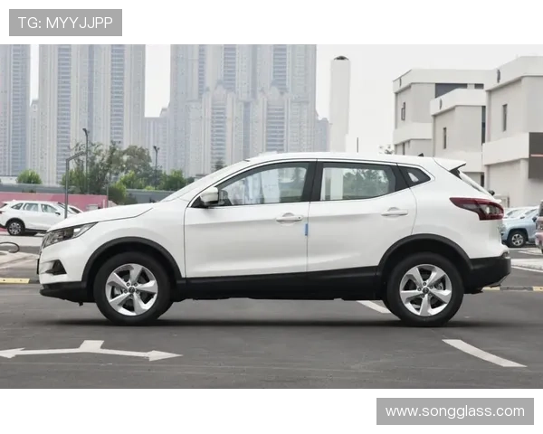 10万级合资SUV新标杆?逍客·荣誉领先版全面测评 10万级合资SUV新标杆?逍客·荣誉领先版全面测评